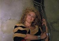 Кадр Д`Артаньян и три мушкетера (мини-сериал)