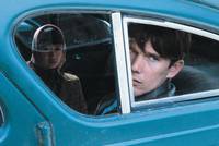 Кадр Заснеженные кедры