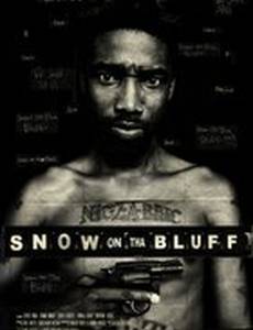 Snow on Tha Bluff