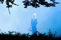 Кадр Медальон Торсена