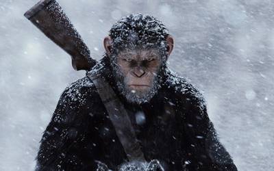 Стоит ли смотреть: «Война за планету обезьян»