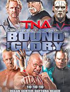 TNA Предел для славы