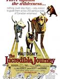 Постер из фильма "Невероятное путешествие" - 1