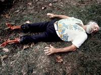 Кадр Пираньи