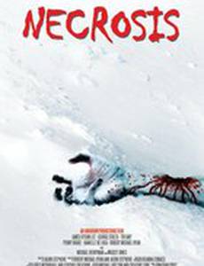 Операция «Мертвый снег 2»: Первая кровь