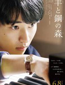 Лес овец и стали