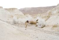 Кадр Необходимое убийство