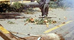 Кадр из фильма "Частокол" - 2