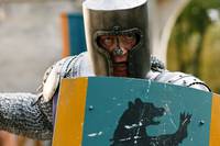 Кадр Мерлин