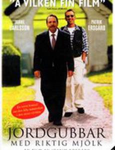 Jordgubbar med riktig mjölk