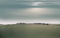 Кадр Раскрашенная кожа