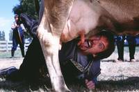 Кадр Пошел ты, Фредди