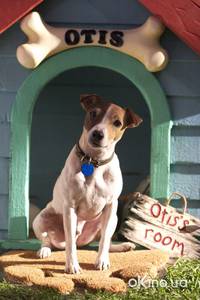 Кадр Сын маски