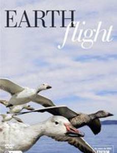 Мир с высоты птичьего полета