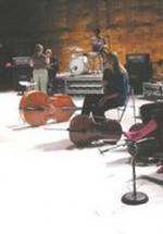 Тим Пингел фото