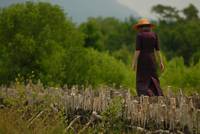 Кадр Плотина против Тихого океана