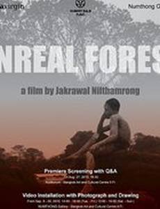 Волшебный лес