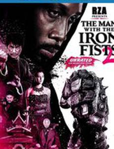 Железный кулак 2