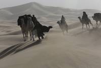 Кадр Королева пустыни