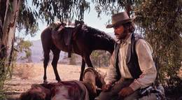 Кадр из фильма "Охота" - 2