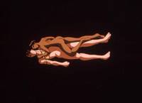 Кадр Берсерк