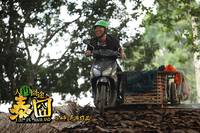 Кадр Приключения в Таиланде