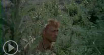 Фрагмент №2