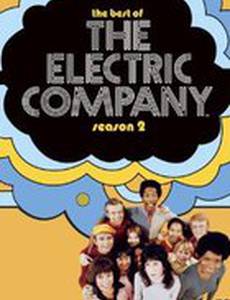 Электрическая компания