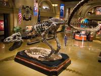 Кадр Ночь в музее