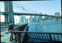 Кадр Я просто люблю тебя