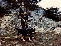 Кадр Большая прогулка