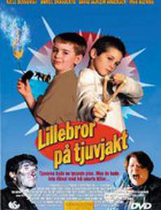 Компания Лиллеброра