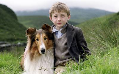 Лучшие сериалы о животных