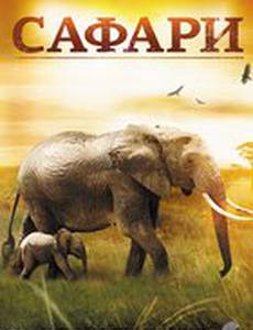 Сафари