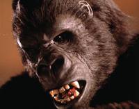 Кадр Кинг-Конг