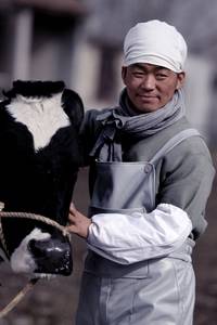 Кадр Дорога с приключениями