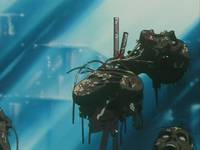 Кадр Армитаж: Полиматрица (видео)