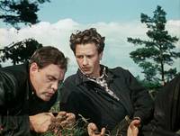 Кадр Укротительница тигров