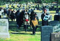 Кадр Кэндимэн