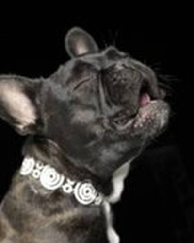 Майти Луис Гринберг фото