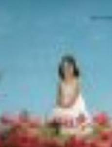 Viola: The Traveling Rooms of a Little Giant