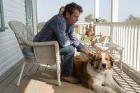 Кадр Путешествие хорошего пса 