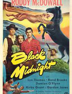 Black Midnight