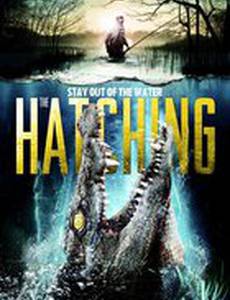 The Hatching