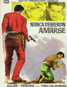 Nunca debieron amarse