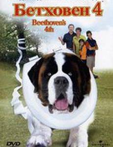 Бетховен 4 (видео)