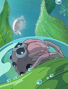 Водяной паук Мон-мон