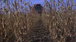 Кадр из фильма "Корпорация «Еда»" - 1