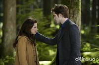 Кадр Сумерки. Сага. Новолуние