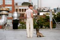 Кадр Однажды эта боль принесет тебе пользу